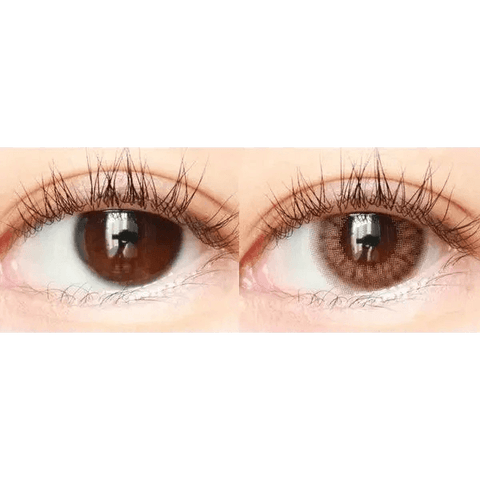 Lighly Pure Brown 13.1mm (20p) Lighly Pure Brown 13.1mm (20p)