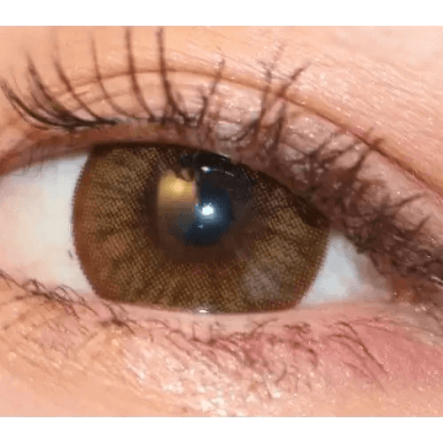 Maple Brown 13.8mm Maple Brown 13.8mm