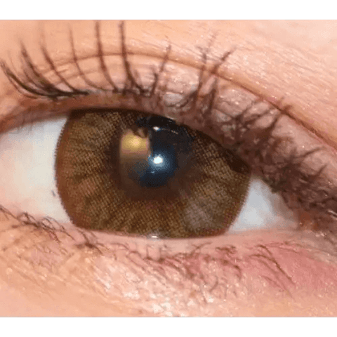 Maple Brown 13.8mm Maple Brown 13.8mm