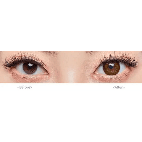 Maple Brown 13.8mm Maple Brown 13.8mm