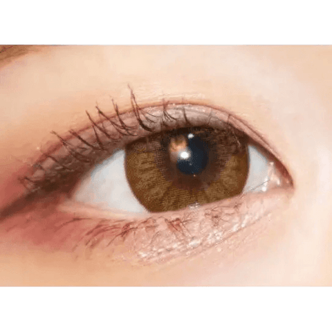 Maple Brown 13.8mm Maple Brown 13.8mm