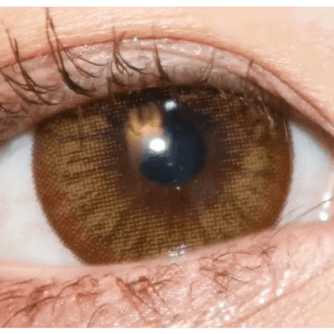 Maple Brown 13.8mm Maple Brown 13.8mm