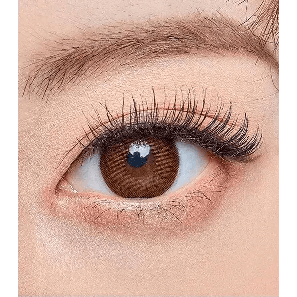Maple Brown 13.8mm Maple Brown 13.8mm