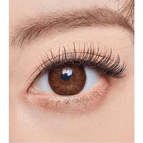 Maple Brown 13.8mm Maple Brown 13.8mm