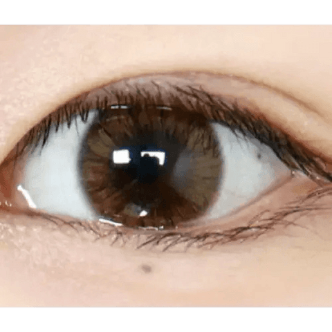 Maybe Brown 12.8mm Maybe Brown 12.8mm