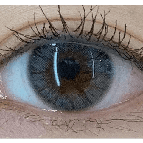 Maybe Gray 12.8mm Maybe Gray 12.8mm