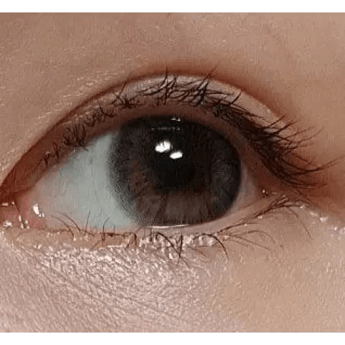 Olens Maybe Gray — single-eye close-up showing the contact lens appearance
