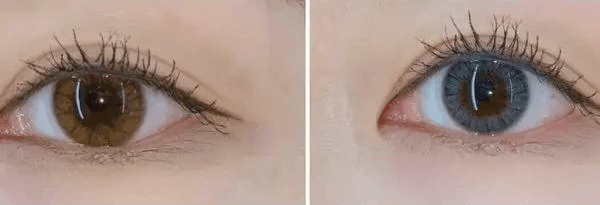 Olens Maybe Gray — contact lens appearance comparison