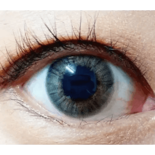 Olens Marry Me Gray — single-eye close-up showing the contact lens appearance