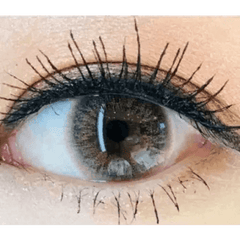 Modernique 3 Color Brown 13.7mm