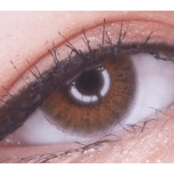 LensVery My Ann Something Brown — single-eye close-up showing the contact lens appearance