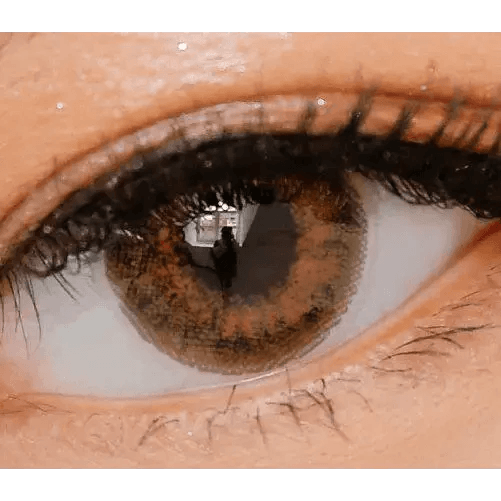 LensVery My Ann Something Brown — single-eye close-up showing the contact lens appearance