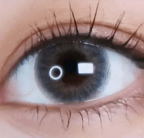 LensVery My Ann Something Gray — single-eye close-up showing the contact lens appearance