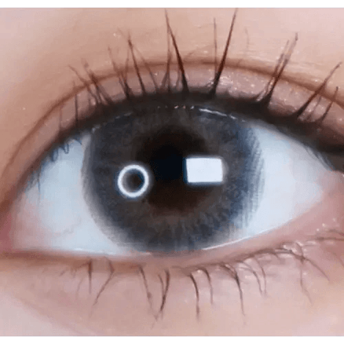 LensVery My Ann Something Gray — single-eye close-up showing the contact lens appearance