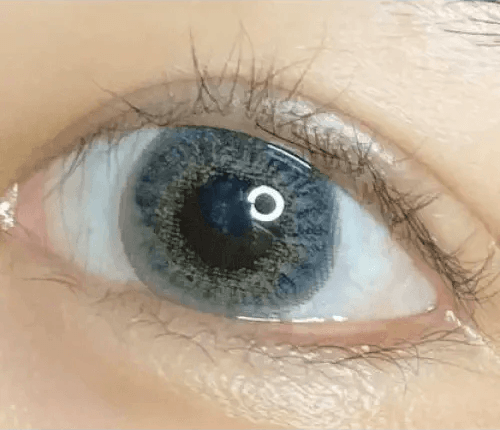 LensVery My Ann Something Gray — single-eye close-up showing the contact lens appearance