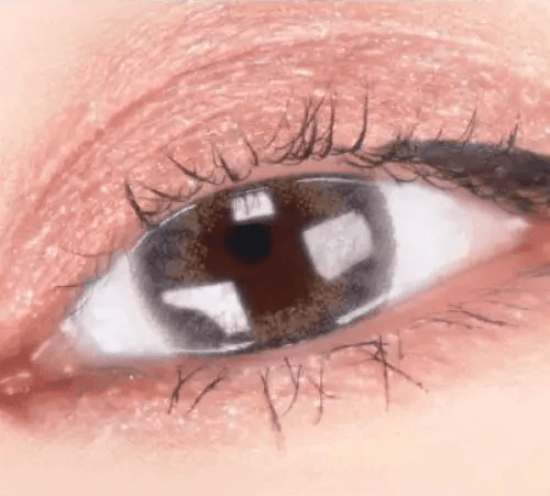 LensVery My Ann Something Gray — single-eye close-up showing the contact lens appearance