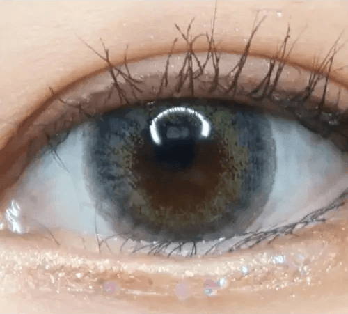 LensVery My Ann Something Gray — single-eye close-up showing the contact lens appearance