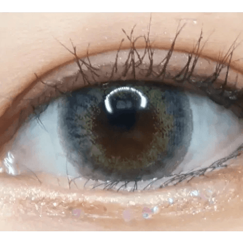LensVery My Ann Something Gray — single-eye close-up showing the contact lens appearance