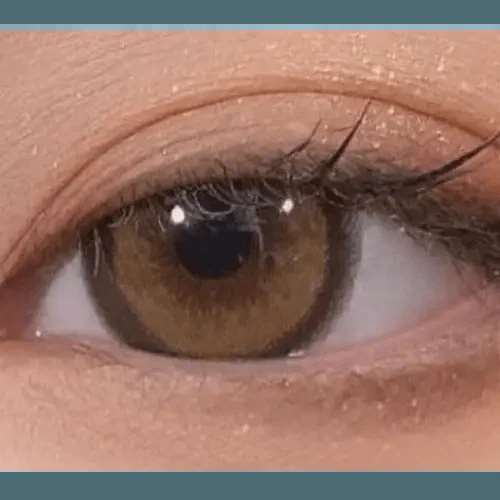 Nanaview Rose Brown 13.6mm