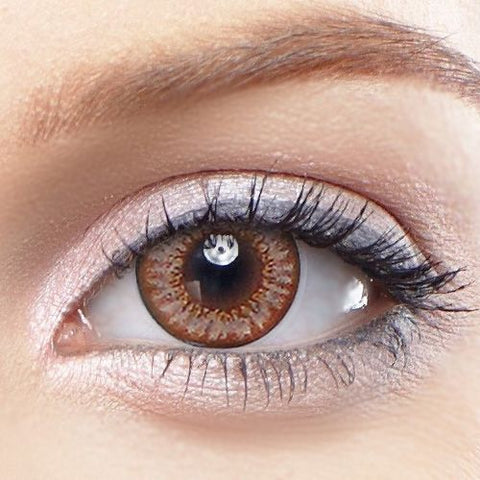 Needstem Brown Toric 13.8mm Needstem Brown Toric 13.8mm