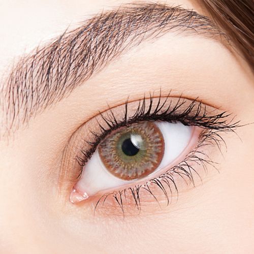 Needstem Brown Toric 13.8mm Needstem Brown Toric 13.8mm