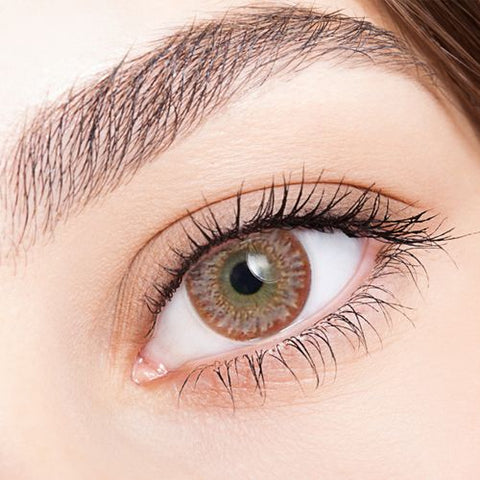 Needstem Brown Toric 13.8mm Needstem Brown Toric 13.8mm