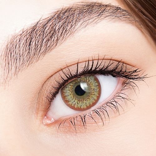 Needstem Green Toric 13.8mm Needstem Green Toric 13.8mm
