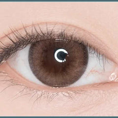 Nils 1Day Brown (20p)