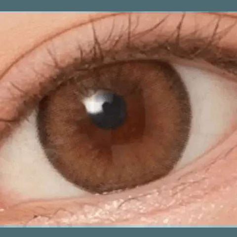 Nils Brown 13.5mm Nils Brown 13.5mm