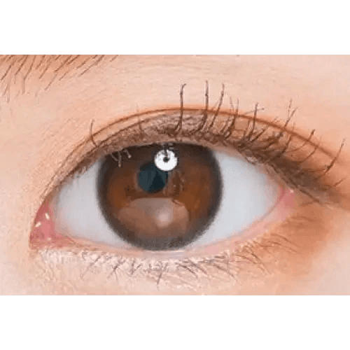 LensTown Nudy Coco Black Toric — single-eye close-up showing the contact lens appearance