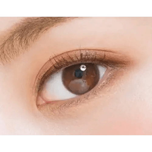 LensTown Nudy Coco Brown Toric — single-eye close-up showing the contact lens appearance