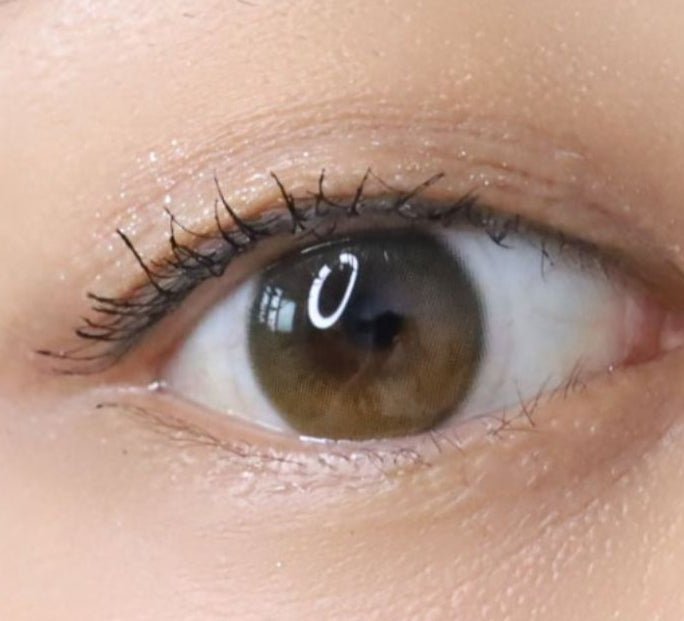 LensTown Odd I's M two tone Brown colored contact lens, 12.8mm graphic diameter, Monthly wear