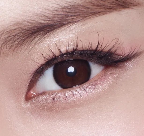Olens Chagall Black colored contact lens, 12.8mm graphic diameter, 3-6 Months wear