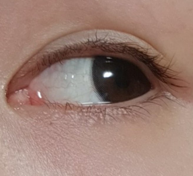 Olens Chagall Black colored contact lens, 12.8mm graphic diameter, 3-6 Months wear