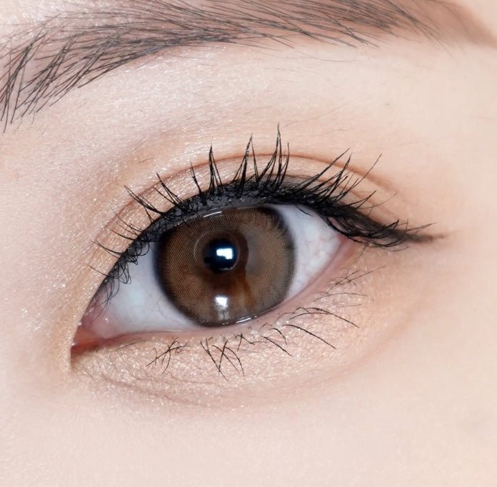 Olens Real Ring Brown Toric (For astigmatism) colored contact lens, 12.5mm graphic diameter, Monthly wear