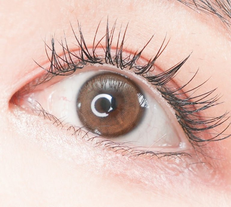 Olens Real Ring Brown Toric (For astigmatism) colored contact lens, 12.5mm graphic diameter, Monthly wear