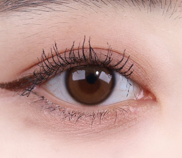Olens Real Ring Brown Toric (For astigmatism) colored contact lens, 12.5mm graphic diameter, Monthly wear