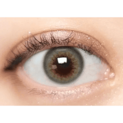 Olens Scandi 1Day Gray (20p)