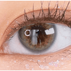 Olens Scandi 1Day Gray (20p)