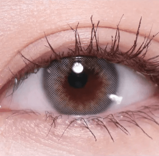 Olens Scandi Gray — single-eye close-up showing the contact lens appearance