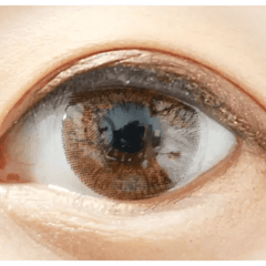 Olens Secriss 3con Coral Brown 1Day (20p)