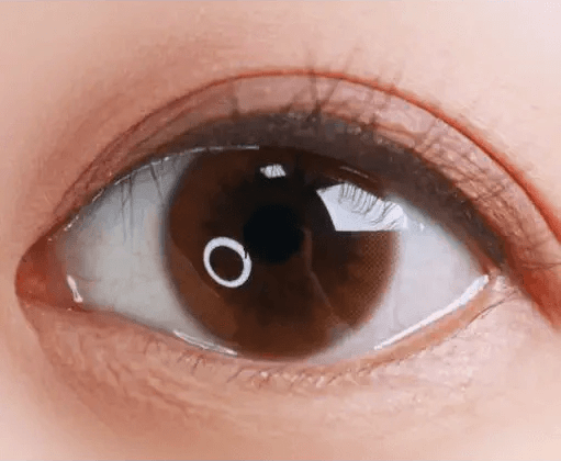 Olens Shining Pure Brown — single-eye close-up showing the contact lens appearance