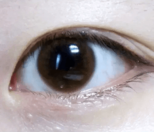 Olens Shining Pure Brown — single-eye close-up showing the contact lens appearance