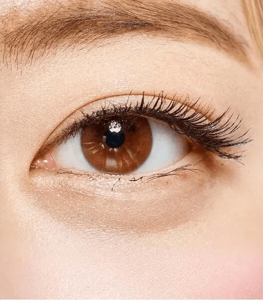 Olens Shining Pure Brown — single-eye close-up showing the contact lens appearance