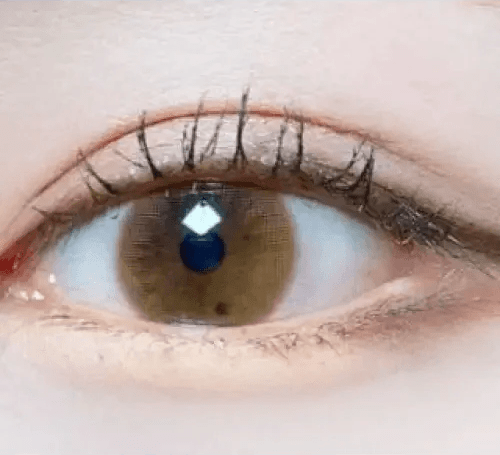 Olens Shining Pure Brown — single-eye close-up showing the contact lens appearance