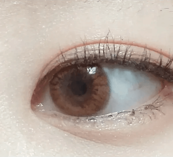 Olens Someday Brown — single-eye close-up showing the contact lens appearance