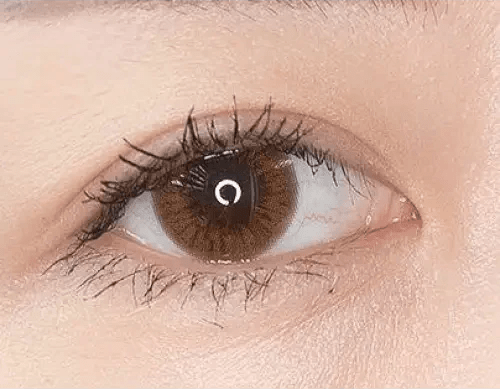 Olens Someday Choco — single-eye close-up showing the contact lens appearance