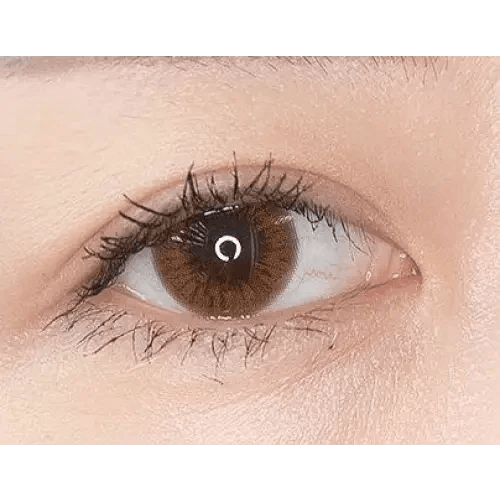 Olens Someday Choco — single-eye close-up showing the contact lens appearance