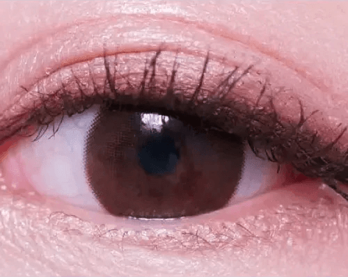 Olens Someday Gray — single-eye close-up showing the contact lens appearance