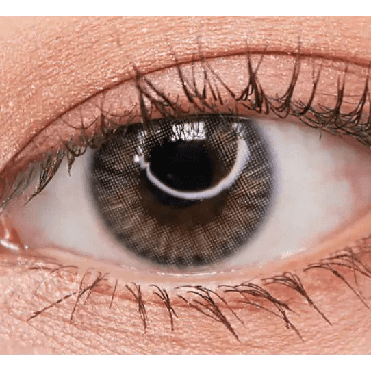 Olens Spanish Gray (20p) — single-eye close-up showing the contact lens appearance